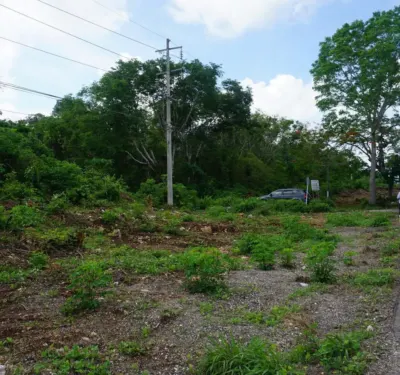 Land in México, Yucatán, Valladolid, photo 7