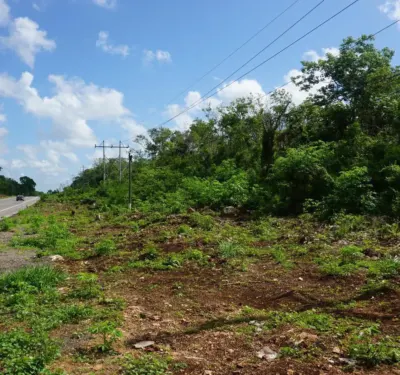 Land in México, Yucatán, Valladolid, photo 8