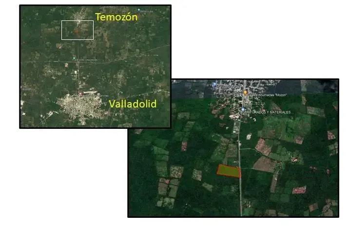 Land in México, Yucatán, Temozón, Pueblo Temozon, photo 1