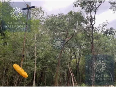 Rancho o finca en México, Yucatán, Valladolid, Pueblo Ticuch, foto 4
