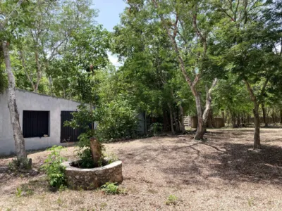 Rancho o finca en México, Yucatán, Valladolid, Pueblo Ticuch, foto 6