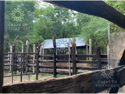 Rancho o finca en México, Yucatán, Valladolid, Pueblo Ticuch, foto 7