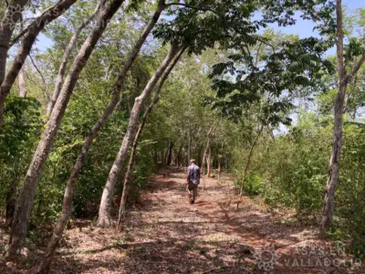 Rancho o finca en México, Yucatán, Valladolid, Pueblo Ticuch, foto 10