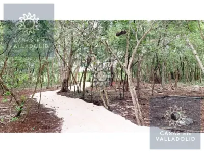 Rancho o finca en México, Yucatán, Valladolid, Pueblo Ticuch, foto 12