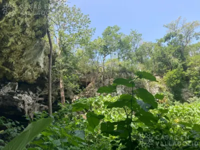 Rancho o finca en México, Yucatán, Valladolid, Pueblo Ticuch, foto 28