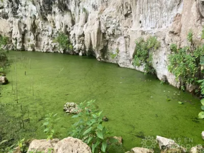 Rancho o finca en México, Yucatán, Valladolid, Pueblo Ticuch, foto 30