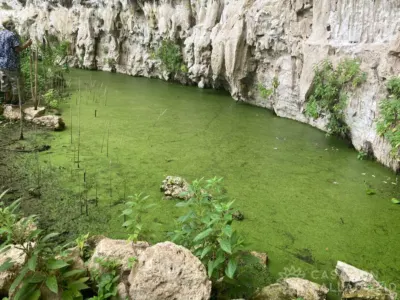 Rancho o finca en México, Yucatán, Valladolid, Pueblo Ticuch, foto 31