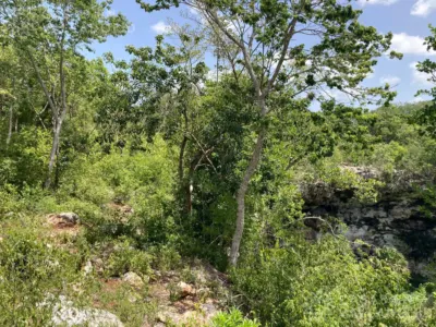 Rancho o finca en México, Yucatán, Valladolid, Pueblo Ticuch, foto 33