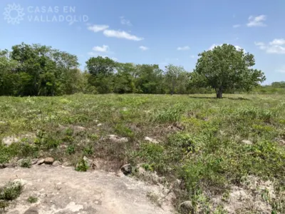 Rancho o finca en México, Yucatán, Valladolid, Pueblo Ticuch, foto 35