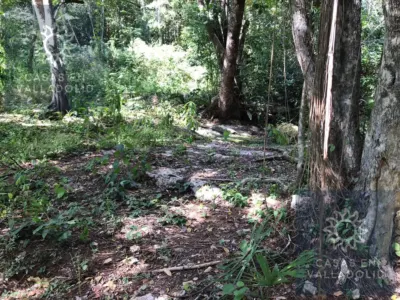Land in México, Yucatán, Valladolid, photo 2
