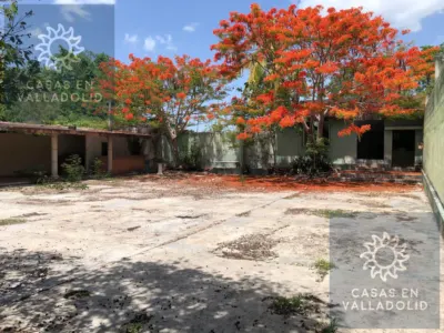 Terreno en México, Yucatán, Valladolid, Candelaria, foto 1