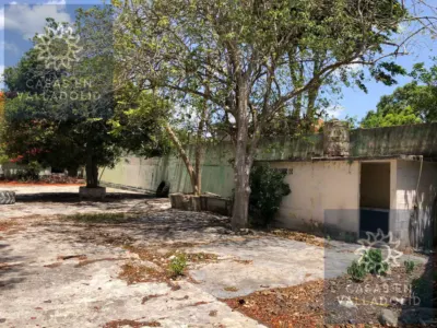 Terreno en México, Yucatán, Valladolid, Candelaria, foto 3