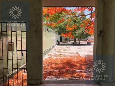 Terreno en México, Yucatán, Valladolid, Candelaria, foto 4