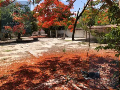 Terreno en México, Yucatán, Valladolid, Candelaria, foto 5