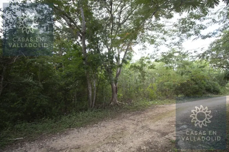 Land in México, Yucatán, Valladolid, Rancho o rancheria Popola, photo 1