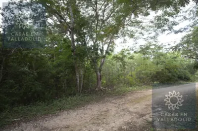 Land in México, Yucatán, Valladolid, Rancho o rancheria Popola, photo 1