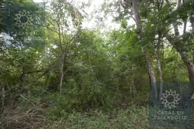 Land in México, Yucatán, Valladolid, Rancho o rancheria Popola, photo 3