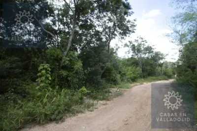 Land in México, Yucatán, Valladolid, Rancho o rancheria Popola, photo 5