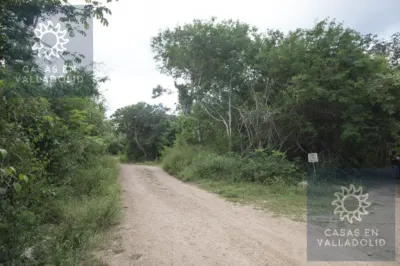 Land in México, Yucatán, Valladolid, Rancho o rancheria Popola, photo 6