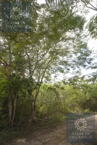 Land in México, Yucatán, Valladolid, Rancho o rancheria Popola, photo 7
