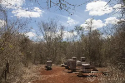Terreno en México, Yucatán, Valladolid, Rancho o rancheria Pixoy, foto 4