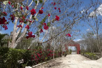 Land in México, Yucatán, Valladolid, Rancho o rancheria Pixoy, photo 5