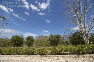 Terreno en México, Yucatán, Valladolid, Rancho o rancheria Pixoy, foto 7
