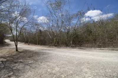 Terreno en México, Yucatán, Valladolid, Rancho o rancheria Pixoy, foto 9