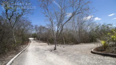 Terreno en México, Yucatán, Valladolid, Rancho o rancheria Pixoy, foto 10