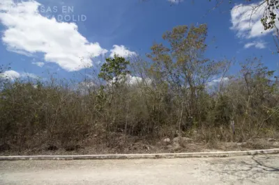 Land in México, Yucatán, Valladolid, Rancho o rancheria Pixoy, photo 13