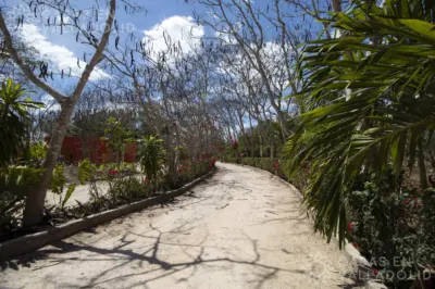 Terreno en México, Yucatán, Valladolid, Rancho o rancheria Pixoy, foto 14
