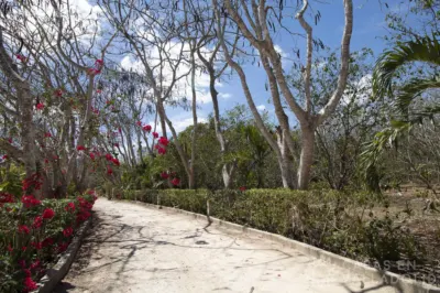 Land in México, Yucatán, Valladolid, Rancho o rancheria Pixoy, photo 15