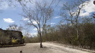 Terreno en México, Yucatán, Valladolid, Rancho o rancheria Pixoy, foto 16