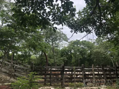 Rancho o finca en México, Yucatán, Temozón, Rancho o rancheria Nabalan, foto 1