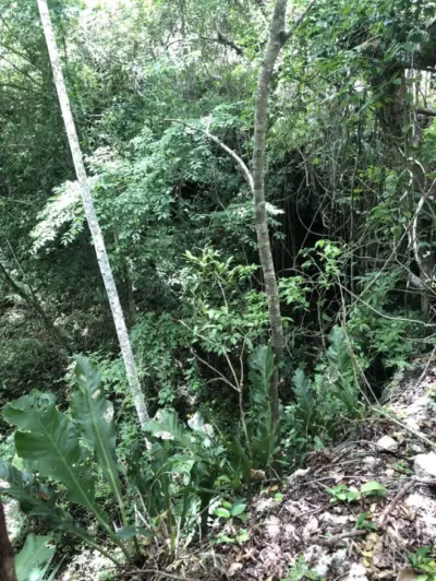 Rancho o finca en México, Yucatán, Temozón, Rancho o rancheria Nabalan, foto 2