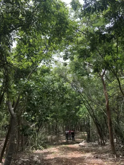 Rancho o finca en México, Yucatán, Temozón, Rancho o rancheria Nabalan, foto 7