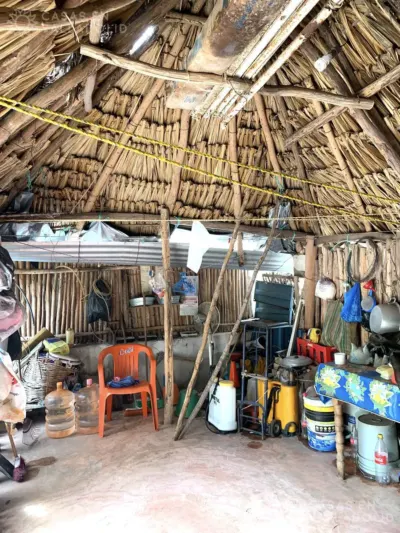 Propiedad comercial en México, Yucatán, Tinum, Pueblo Xcalakoop, foto 8