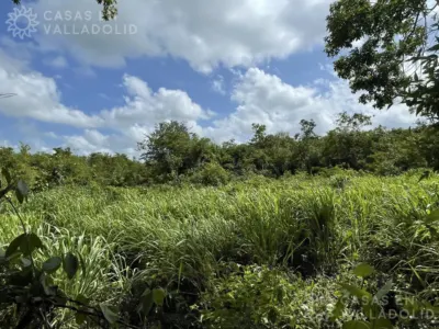 Terreno en México, Yucatán, Chemax, Pueblo Chemax, foto 2