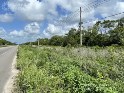 Terreno en México, Yucatán, Chemax, Pueblo Chemax, foto 3