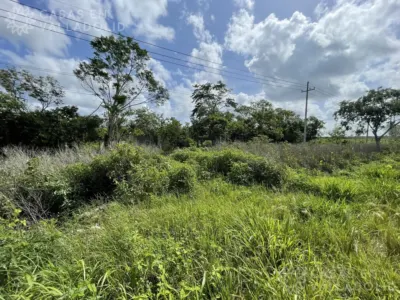 Terreno en México, Yucatán, Chemax, Pueblo Chemax, foto 4