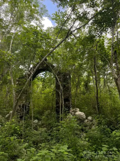 Land in México, Yucatán, Tinum, Rancho o rancheria San Francisco, photo 2