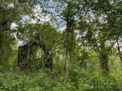 Land in México, Yucatán, Tinum, Rancho o rancheria San Francisco, photo 3