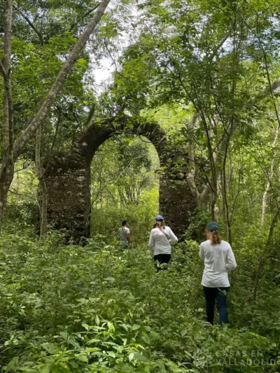 Land in México, Yucatán, Tinum, Rancho o rancheria San Francisco, photo 5