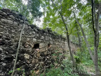 Land in México, Yucatán, Tinum, Rancho o rancheria San Francisco, photo 6