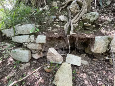 Land in México, Yucatán, Tinum, Rancho o rancheria San Francisco, photo 8