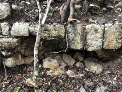 Land in México, Yucatán, Tinum, Rancho o rancheria San Francisco, photo 9