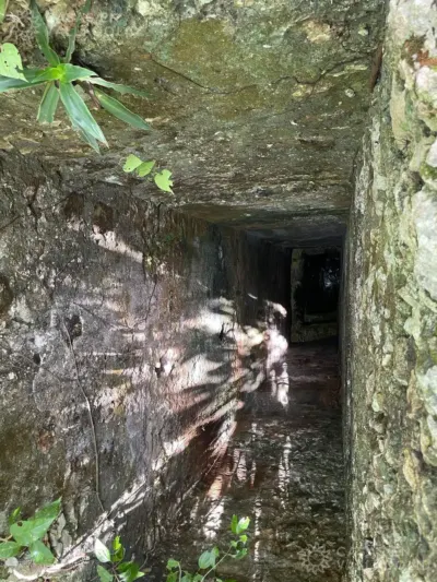 Land in México, Yucatán, Tinum, Rancho o rancheria San Francisco, photo 11