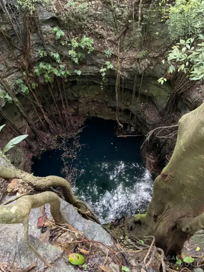 Land in México, Yucatán, Tinum, Rancho o rancheria San Francisco, photo 13