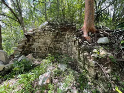Land in México, Yucatán, Tinum, Rancho o rancheria San Francisco, photo 16