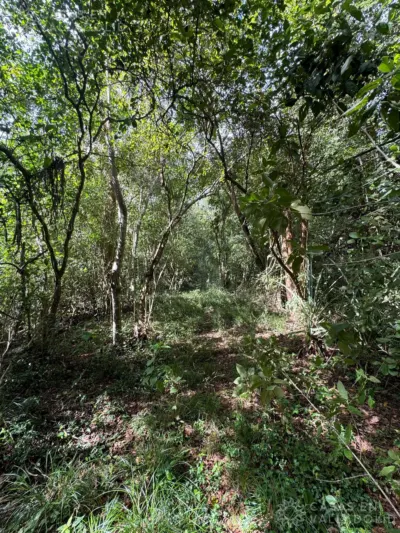 Terreno en México, Yucatán, Valladolid, Rancho o rancheria Popola, foto 3